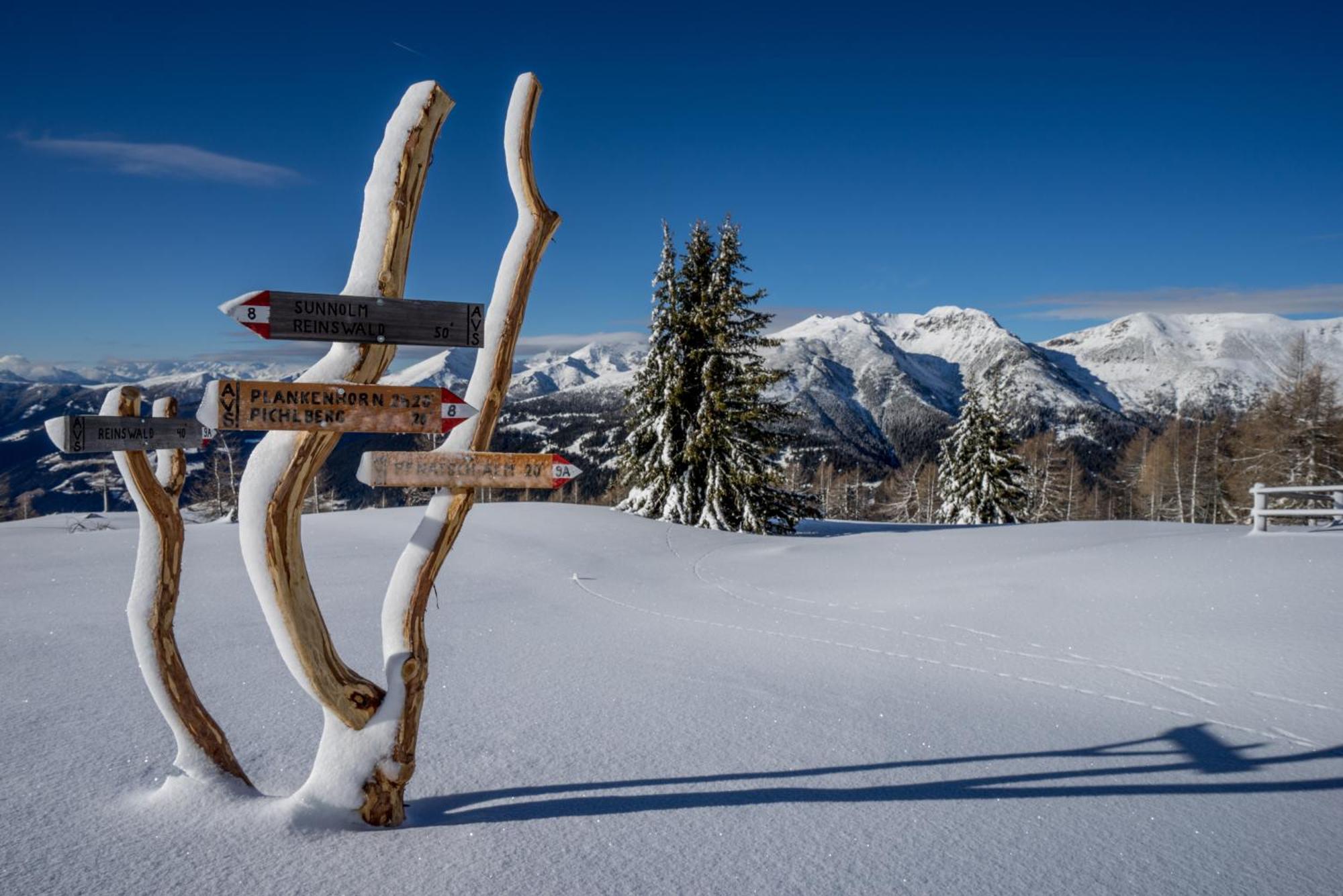ホテル Panoramic Lotsch Sarentino エクステリア 写真